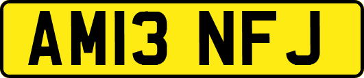 AM13NFJ