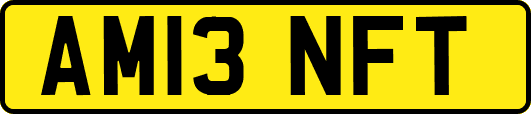 AM13NFT