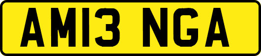 AM13NGA