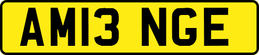 AM13NGE