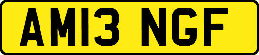 AM13NGF