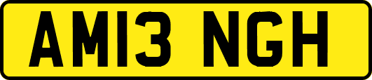 AM13NGH
