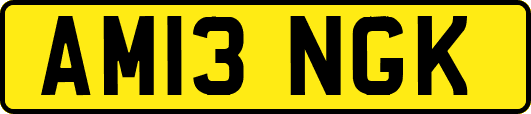 AM13NGK