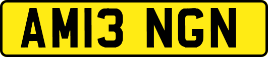 AM13NGN