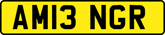 AM13NGR