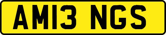 AM13NGS