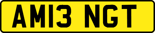 AM13NGT