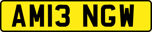 AM13NGW