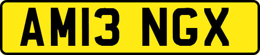 AM13NGX