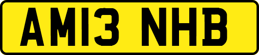 AM13NHB