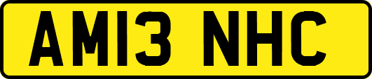 AM13NHC