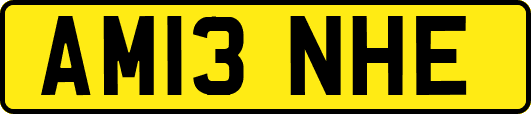 AM13NHE