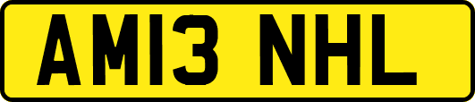 AM13NHL
