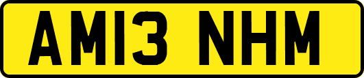 AM13NHM