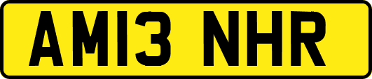 AM13NHR