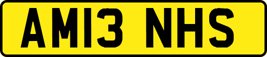 AM13NHS