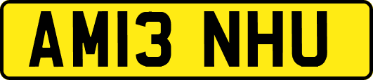 AM13NHU
