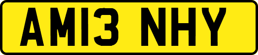 AM13NHY