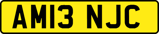 AM13NJC