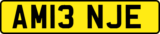 AM13NJE