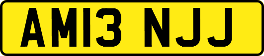 AM13NJJ