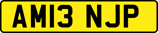 AM13NJP