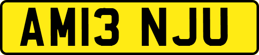 AM13NJU