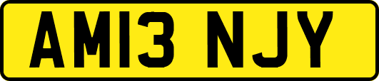 AM13NJY