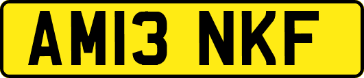 AM13NKF