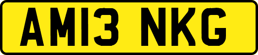 AM13NKG
