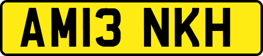 AM13NKH