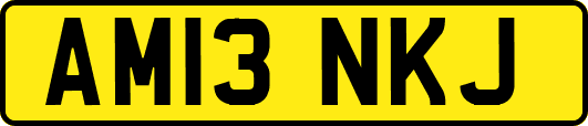 AM13NKJ