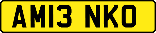 AM13NKO