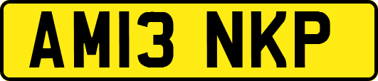 AM13NKP