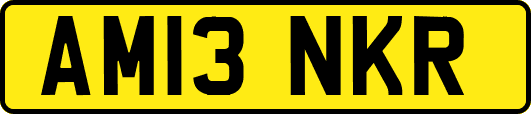 AM13NKR