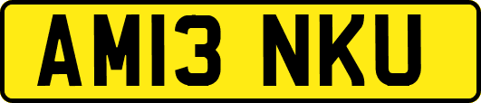 AM13NKU