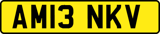 AM13NKV
