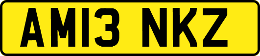 AM13NKZ