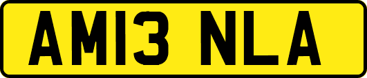 AM13NLA