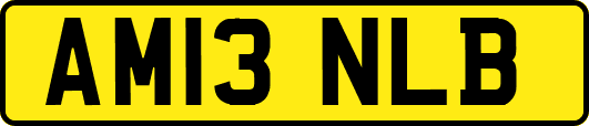 AM13NLB