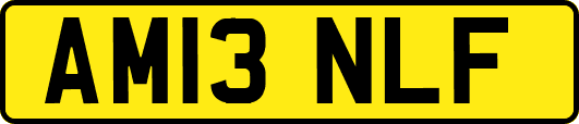 AM13NLF