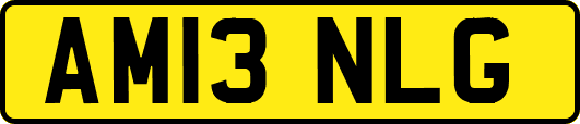 AM13NLG