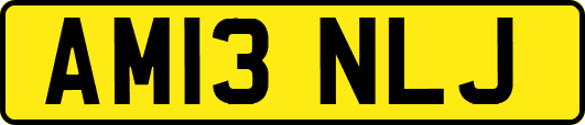 AM13NLJ
