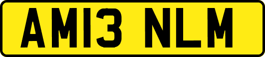 AM13NLM