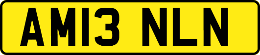 AM13NLN
