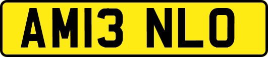 AM13NLO