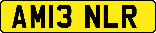 AM13NLR