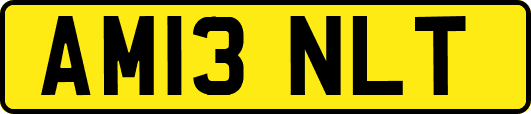 AM13NLT