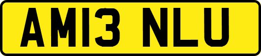 AM13NLU