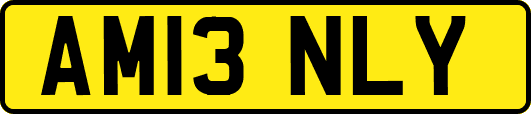 AM13NLY
